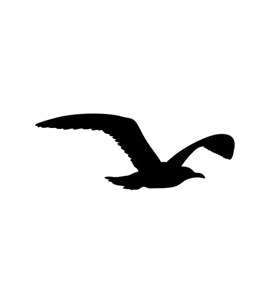 Seagull Silhouette