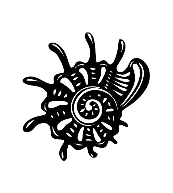 Seashell Stencil Design