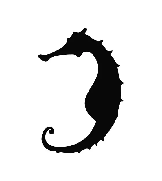 Adorable Seahorse Silhouette Art