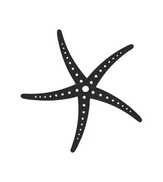 Starfish Stencil Design
