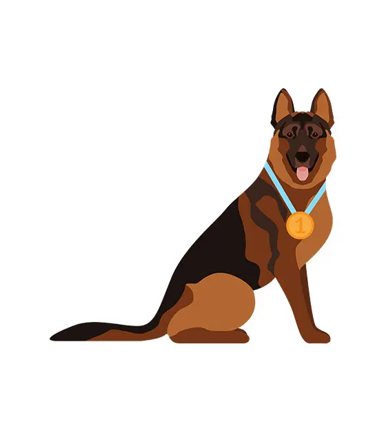 Sitting German Shepherd Vector