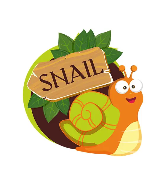 Snail Vector