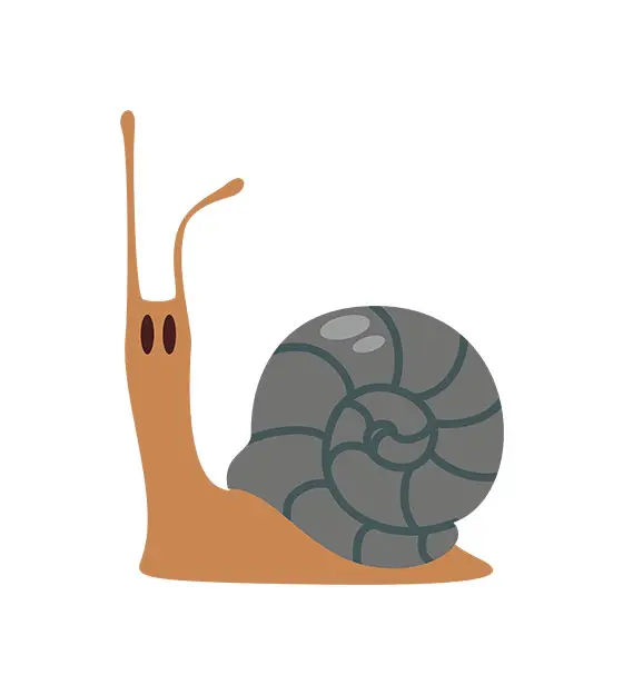 Snail Digital Vector