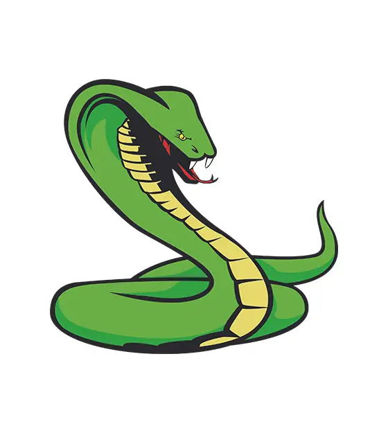 King Cobra Vector