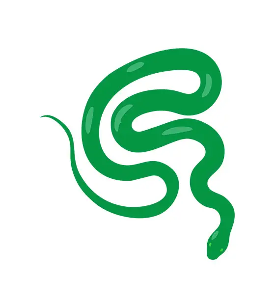 Green Snake Vector