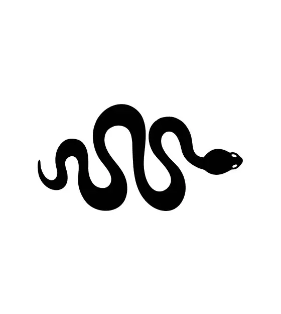 Snake Silhouette Art