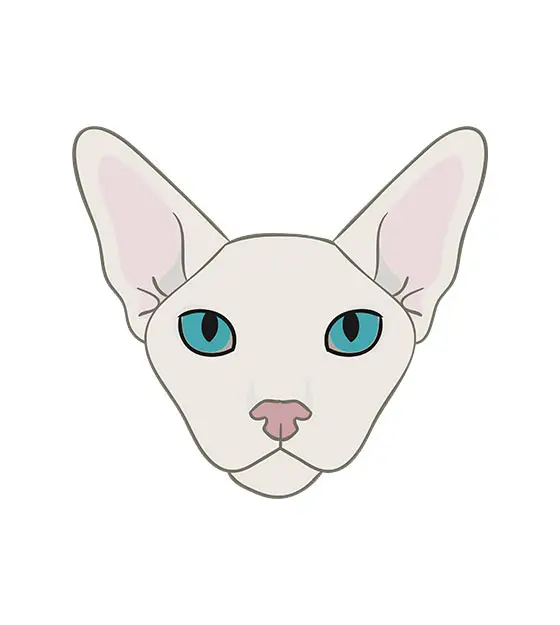 Sphynx Face Vector Art