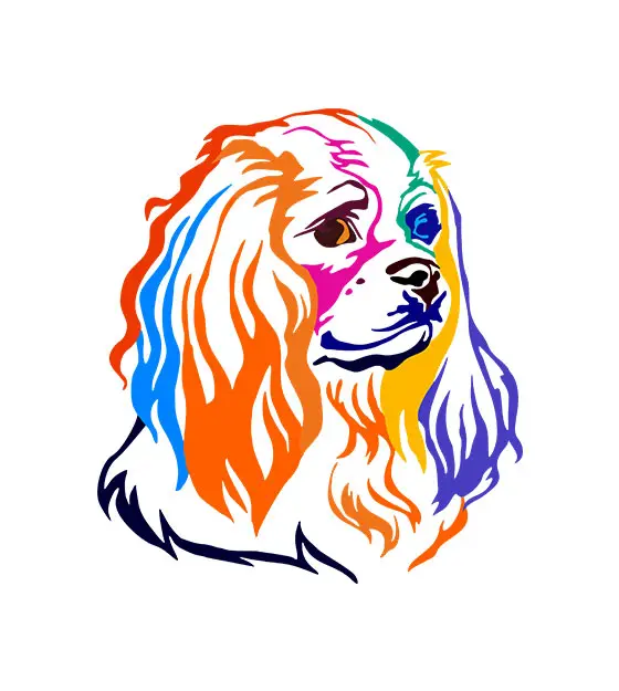 Colorful Charles Spaniel Dog Head Vector