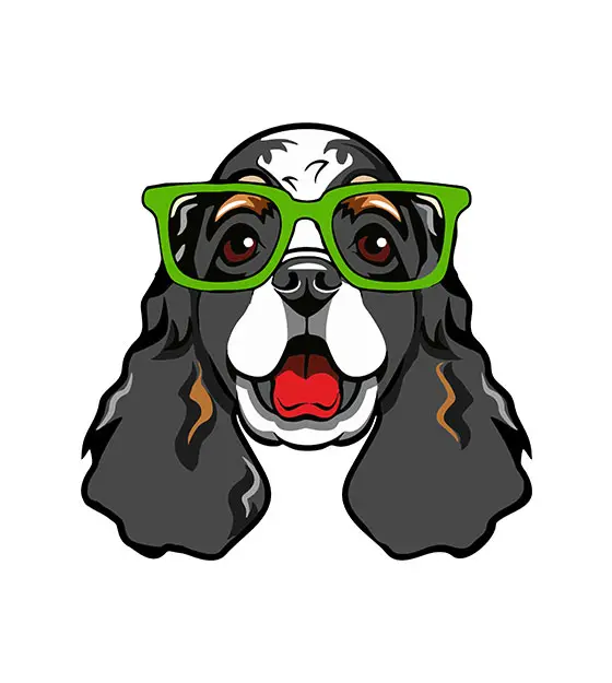 Cocker Spaniel Face Vector