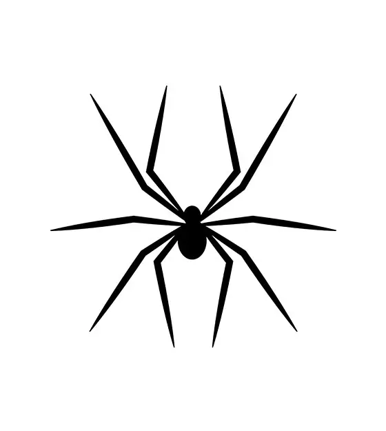 Spider Silhouette Art