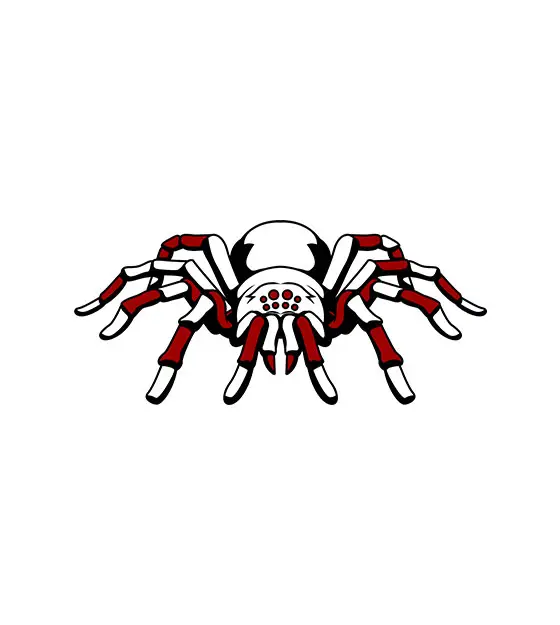 Tarantula Vector