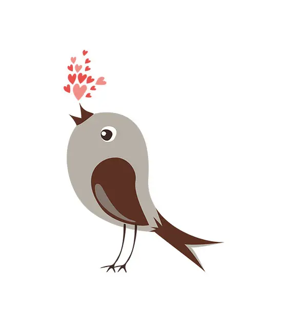 Bird Vector Design