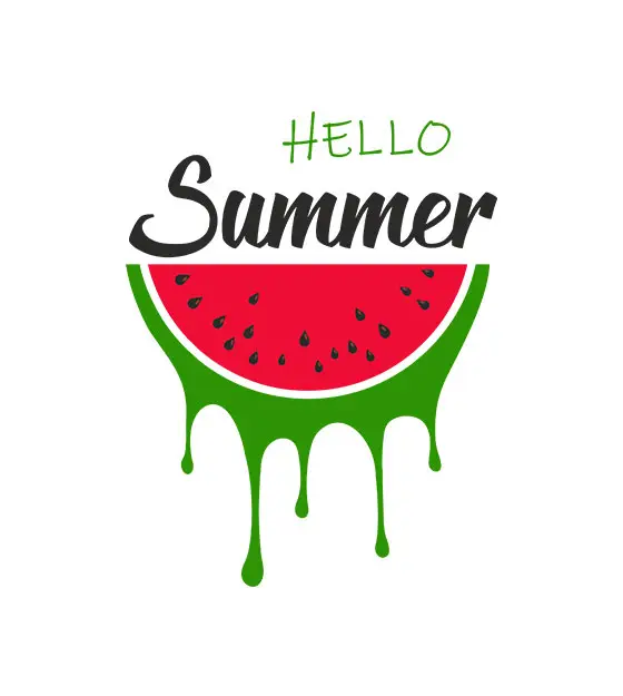 Summer Watermelon Vector