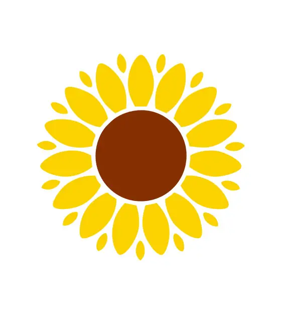 Sunflower Vector