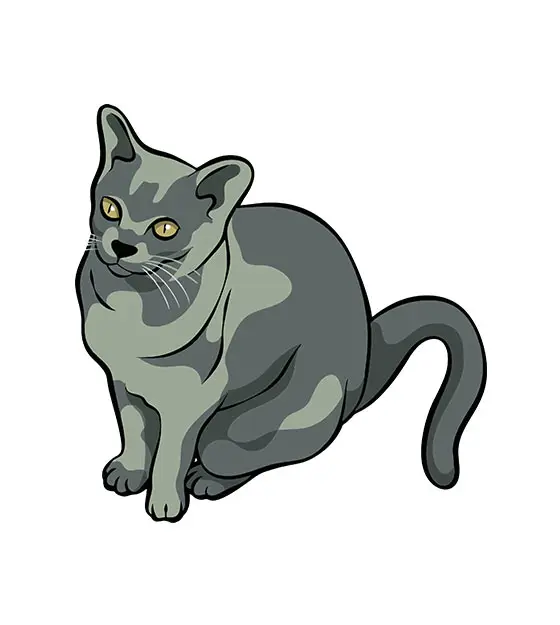 Devon Rex Vector Art