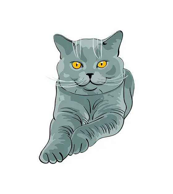 Sitting Chartreux Cat Vector