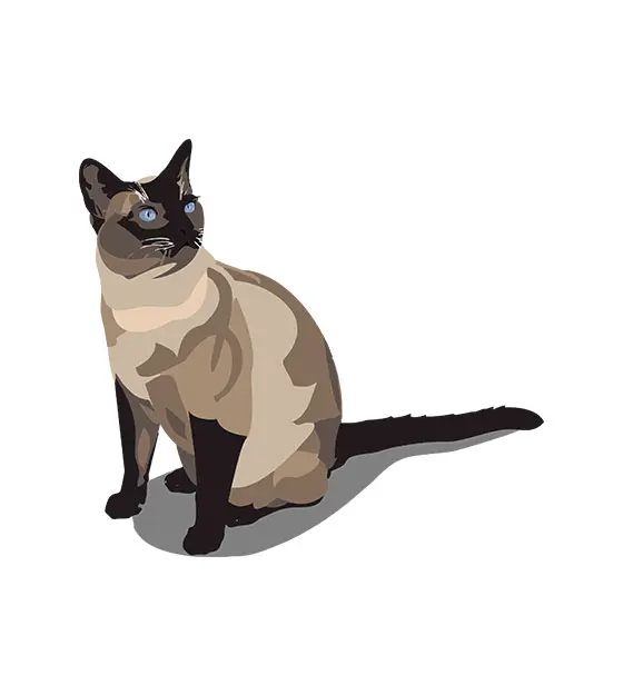 Siamese Cat Vector File