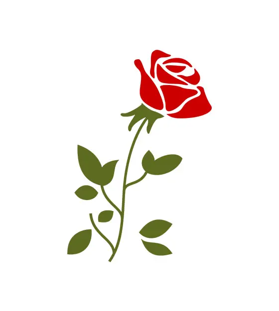 Leaf and Rose Vector