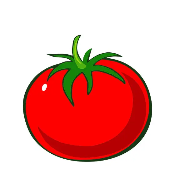 Tomato Vector Art