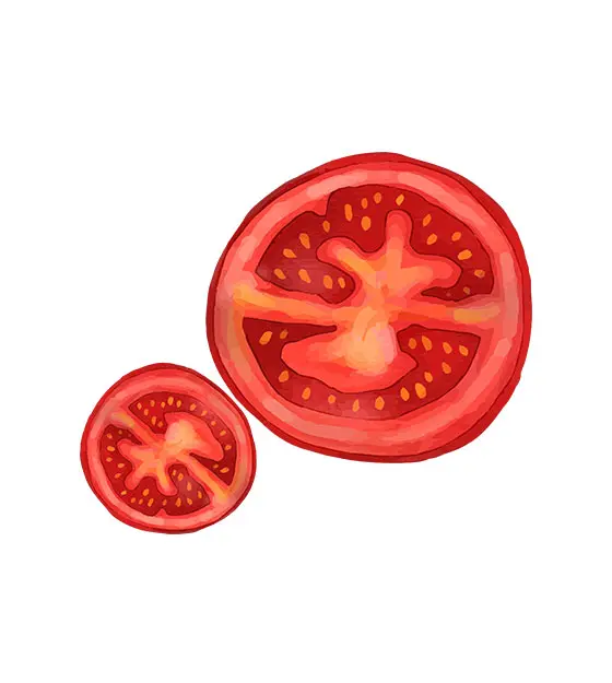 Tomato Slice Vector