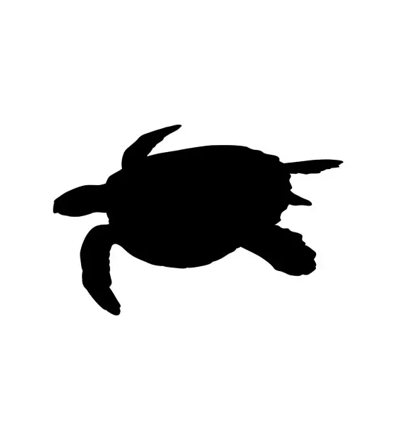 Subtle Swimming Sea Turtle Silhouette Art