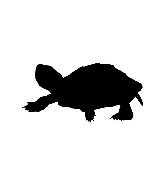 Delicate Walking Sea Turtle Silhouette Art