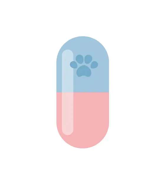 Cute Cat Paw Capsule Veterinarian Vector