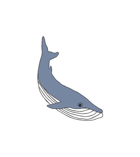 Wandering Blue Whale Vector Art