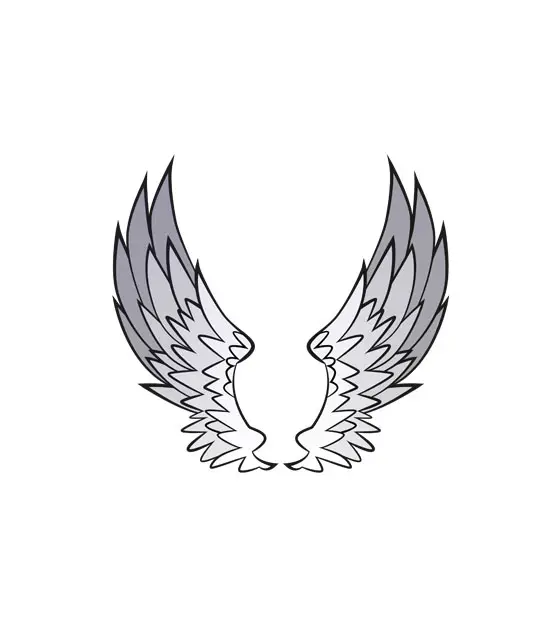 Enamoring Angelic Wings Vector Art