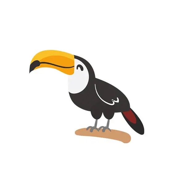 Fascinating Toucan Bird Vector Art
