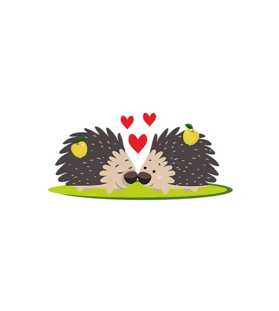 Hedgehog Couple Love Hearts Art Vector Art