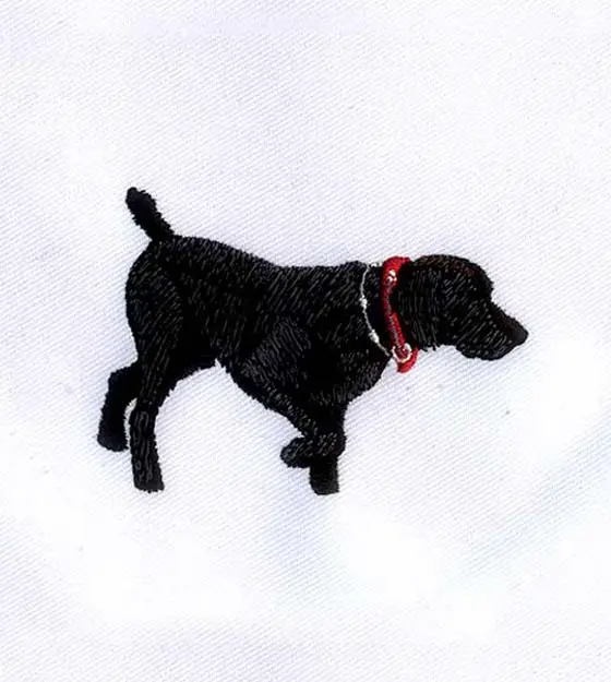 Black Lab Embroidery Design