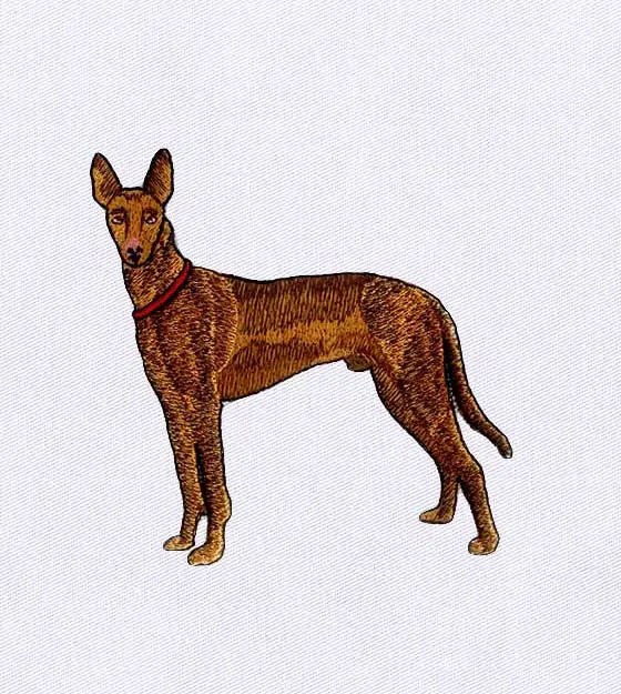 Pharaoh Hound Embroidery Design