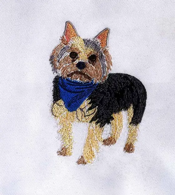 Yorkie Embroidery Design