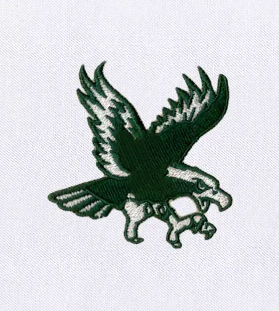 Wild Soaring Eagle Embroidery Design
