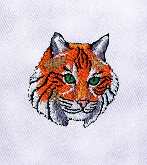 Bright and Beautiful Cat Embroidery Design