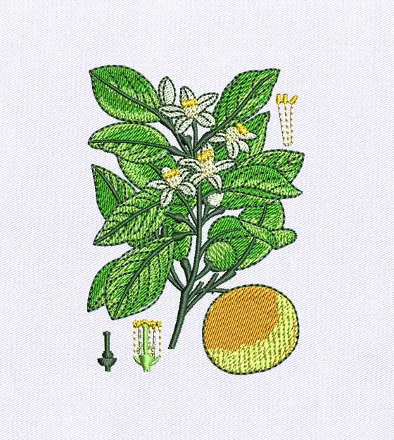 My Funny Clementine Digital Embroidery Design