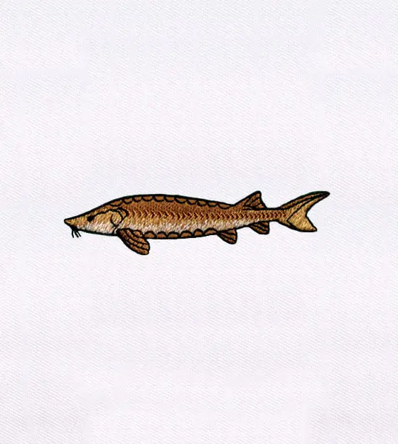 Quaint Brown Fish Cap Embroidery Design