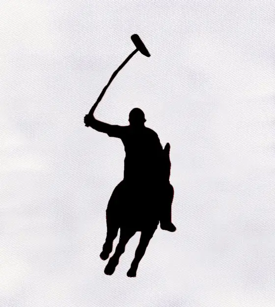 Polo Sport Digital Embroidery Design