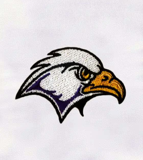 Incredible Hawk Face Machine Embroidery Design