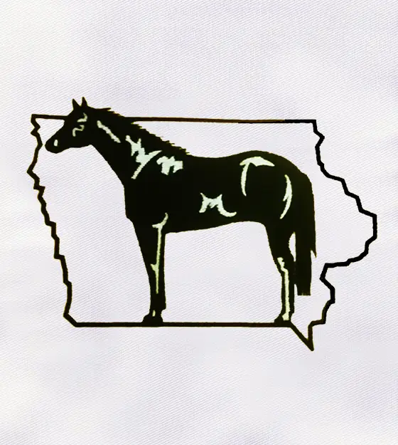 Black and White Horse Embroidery Design