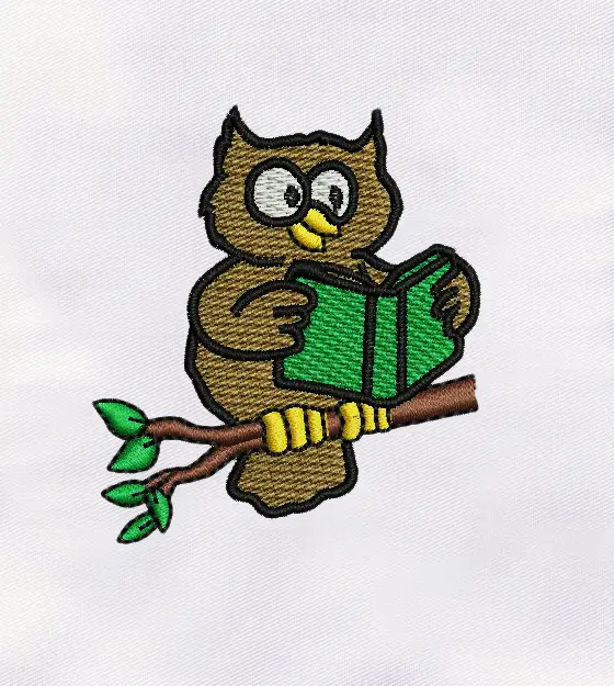 Delightful Owl Reading Book Embroidery Design
