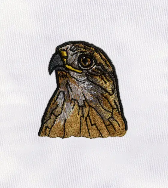 Stunning Bird Machine Embroidery Design