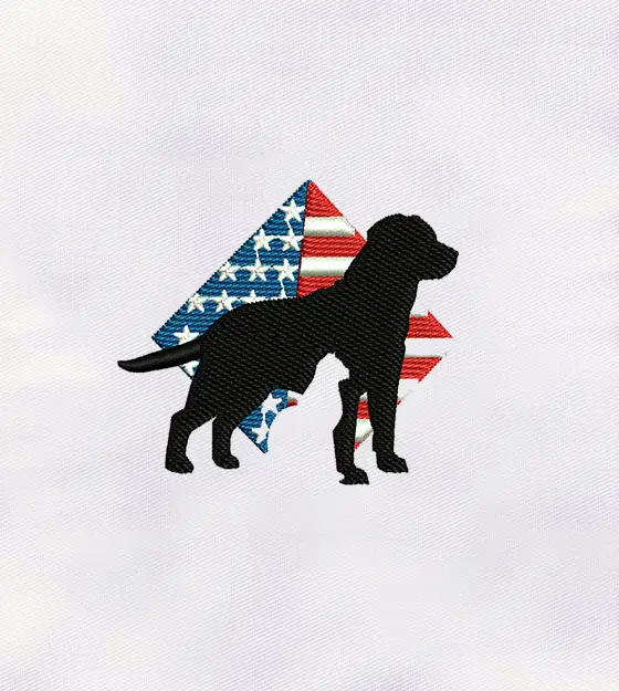 Patriotic Dog and Cat Embroidery Design