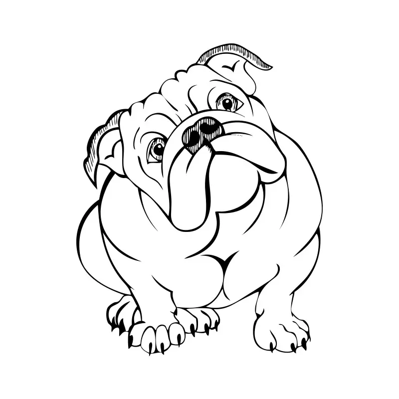 Free Beautiful Bulldog Vector Design
