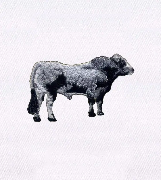 Cow Embroidery Design – Beefmaster Cattle Machine Embroidery File