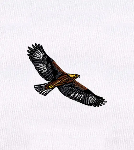 Proudly Soaring Brown Eagle Embroidery Design