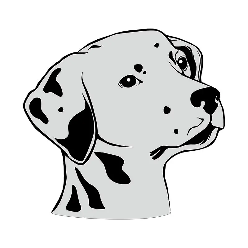 Adorable Dalmatian Dog Face Vector Art