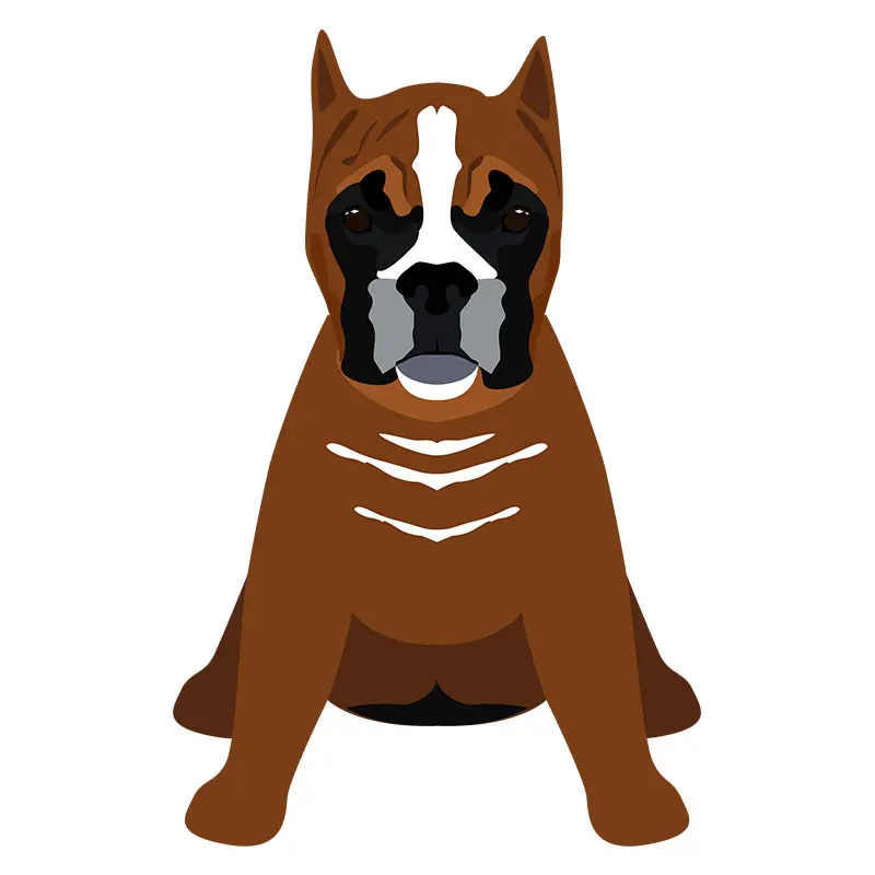 The Staffordshire Bull Terrier Dog Vector Art