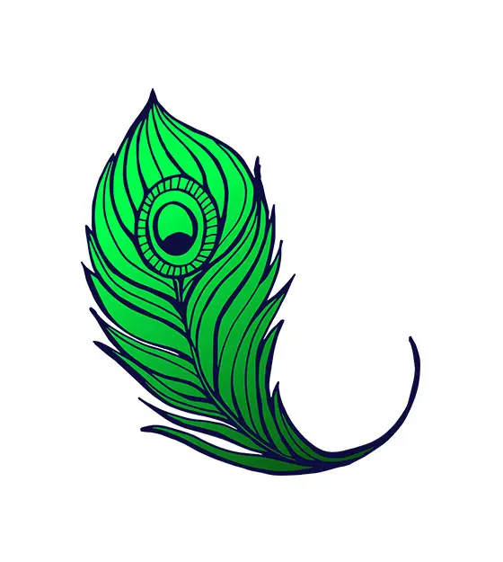 Shimmering Emerald Green Peacock Feather Vector Art